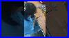 Easily_Remove_Insulation_From_Wire_Harnesses_Using_Wire_Strippers_01_dsz