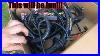 Ebay_Standalone_Wire_Harness_Review_Is_It_Worth_Saving_The_Money_01_nta