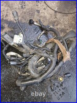 FORD TRANSIT (09.14-) ENGINE WIRING HARNESS 2.2 TDCi Diesel 114kW, CK3T-12B637-G