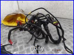 Fiat 500 Engine Wiring Harness Mk1 1.2 Petrol 2007-2024
