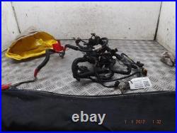 Fiat 500 Engine Wiring Harness Mk1 1.2 Petrol 2007-2024
