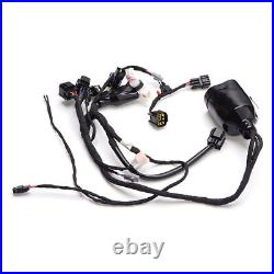 For Surron Sur-Ron Light Bee X Full Main Wire Wiring Assy Harness Change OEM