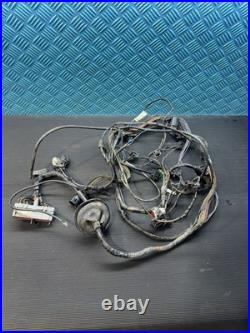 Ford Escort Rs2000 Rs 2000 Mk5 91-92 Ecu Wiring Harness