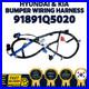 GENUINE_OEM_Hyundai_Kia_Front_Bumper_Wiring_Harness_FEM_Female_Seltos_91891Q5020_01_ev
