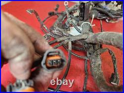 Gas Gas Es 700 2023 Wiring Harness