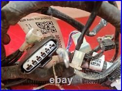 Gas Gas Es 700 2023 Wiring Harness