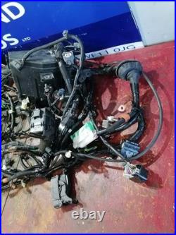 HONDA JAZZ 2023 Wiring Harness