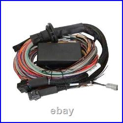 Haltech Elite 2500 & 2500 T Premium Universal Wire-in Harness