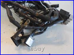 Harley Davidson Body wire Wiring Harness DT04-6P