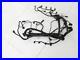 Harness_Cables_Engine_wiring_for_Mercedes_W220_S430_98_02_A2205409232_01_qlw