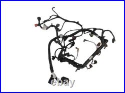 Harness Engine wiring harness Harness for Engine Fiat Qubo Fiorino 225 08-16
