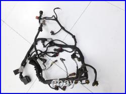 Harness Engine wiring harness Harness for Engine Fiat Qubo Fiorino 225 08-16