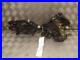 Honda_CBR1100_Blackbird_Carb_Model_1997_1998_Main_Wire_Wiring_Loom_Harness_01_sgmz