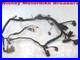 Honda_Cbr900_00_01_Main_Loom_Wiring_Harness_Cbr900rr_Cbr_900rr_Cbr929_Rr_01_br