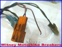 Honda Cbr900 00-01 Main Loom Wiring Harness Cbr900rr Cbr 900rr Cbr929 Rr