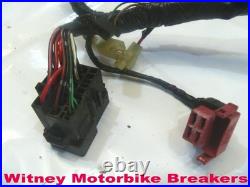Honda Cbr900 00-01 Main Loom Wiring Harness Cbr900rr Cbr 900rr Cbr929 Rr