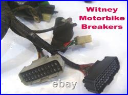 Honda Cbr900 00-01 Main Loom Wiring Harness Cbr900rr Cbr 900rr Cbr929 Rr