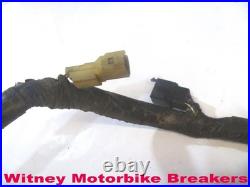 Honda Cbr900 00-01 Main Loom Wiring Harness Cbr900rr Cbr 900rr Cbr929 Rr