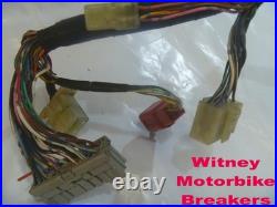 Honda Cbr900 00-01 Main Loom Wiring Harness Cbr900rr Cbr 900rr Cbr929 Rr