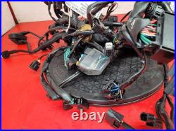 Honda Cbr 650 Rac-r Wiring Harness 2024 Honda Cbr 650 Rac-r Wiring Harness 2024