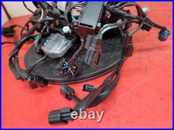 Honda Cbr 650 Rac-r Wiring Harness 2024 Honda Cbr 650 Rac-r Wiring Harness 2024