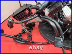 Honda Cbr 650 Rac-r Wiring Harness 2024 Honda Cbr 650 Rac-r Wiring Harness 2024