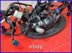 Honda Cbr 650 Rac-r Wiring Harness 2024 Honda Cbr 650 Rac-r Wiring Harness 2024