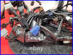 Honda Cbr 650 Rac-r Wiring Harness 2024 Honda Cbr 650 Rac-r Wiring Harness 2024