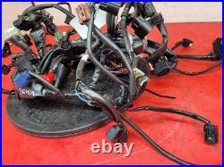 Honda Cbr 650 Rac-r Wiring Harness 2024 Honda Cbr 650 Rac-r Wiring Harness 2024