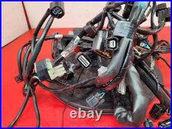 Honda Cbr 650 Rac-r Wiring Harness 2024 Honda Cbr 650 Rac-r Wiring Harness 2024