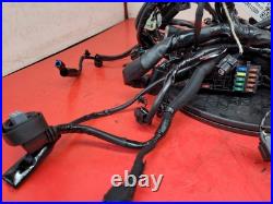 Honda Cbr 650 Rac-r Wiring Harness 2024 Honda Cbr 650 Rac-r Wiring Harness 2024