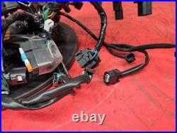 Honda Cbr 650 Rac-r Wiring Harness 2024 Honda Cbr 650 Rac-r Wiring Harness 2024