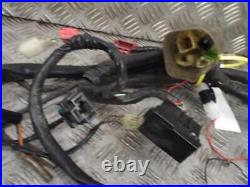 Honda VTR1000 VTR 1000 Firestorm Main Wire Wiring Loom Harness