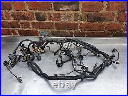 Husqvarna TR 650 Terra / Strada 2013-2015 FULL WIRING LOOM WIRING HARNESS