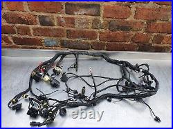 Husqvarna TR 650 Terra / Strada 2013-2015 FULL WIRING LOOM WIRING HARNESS