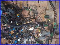 Jaguar X300 X308 Main Interior Wire Wiring Harness Lnb3540 3.2p 96y