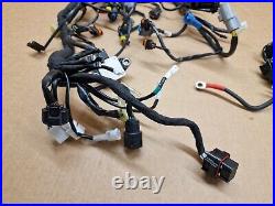 KTM DUKE 790 Wiring loom harness Complete 2018 2020