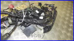 Kawasaki ER6N ER6F ER6 2006 Wiring Loom Wire Harness With CDI Kawasaki ER6N ER6F ER6 2006 Wiring Loom Wire Harness With CDI