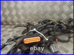 Kawasaki ER6-N 2005-2008 Wiring Loom Wire Harness