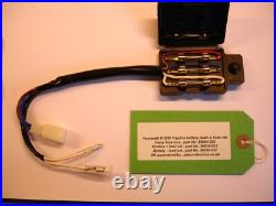 Kawasaki KH250 (Replica main wire harness & battery/fuse connection set)