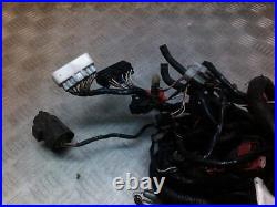 Kawasaki VN1500 VN 1500 Nomad Classic Tourer 2001 Wiring Loom Wire Harness