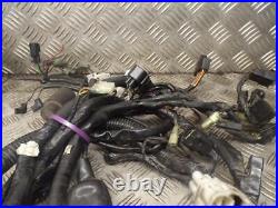 Kawasaki VN1500 VN 1500 Normad Classic 1999-On Wiring Loom Wire Harness