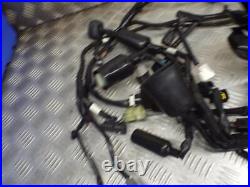 Kawasaki ZX25R 2020-On Main Wire Wiring Loom Harness