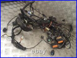 Kawasaki ZZR1400 ZZR 1400 2006-2009 Main Wire Wiring Loom Harness