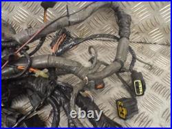 Kawasaki ZZR1400 ZZR 1400 2006-2009 Main Wire Wiring Loom Harness
