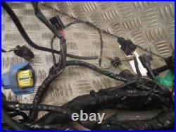 Kawasaki ZZR1400 ZZR 1400 2006-2009 Main Wire Wiring Loom Harness