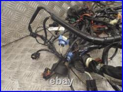 Kawasaki ZZR1400 ZZR 1400 2006-2009 Main Wire Wiring Loom Harness