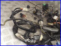 Kawasaki ZZR1400 ZZR 1400 2006-2009 Main Wire Wiring Loom Harness