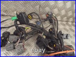 Kawasaki ZZR1400 ZZR 1400 2006-2009 Main Wire Wiring Loom Harness
