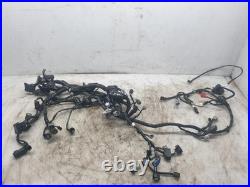 Kawasaki Z H2 Wiring Loom Wire Harness Main ZR1000 KNSAN 2022 26031-3799 Kawasaki Z H2 Wiring Loom Wire Harness Main ZR1000 KNSAN 2022 26031-3799